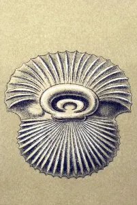 Historic illustration, tablet 12