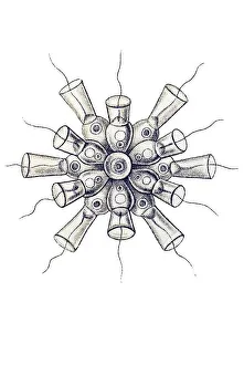 Historic illustration, tablet 13