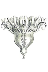 Historic illustration, tablet 18
