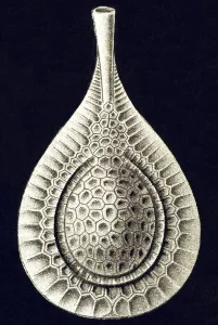 Historic illustration, tablet 2