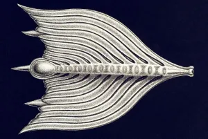 Historic illustration, tablet 2