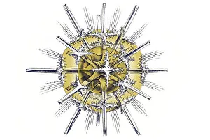 Historic illustration, tablet 21