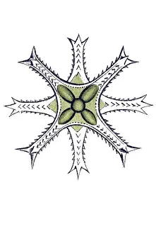 Historic illustration, tablet 24