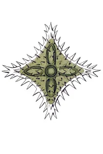 Historic illustration, tablet 24