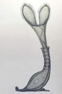 Historic illustration, tablet 3