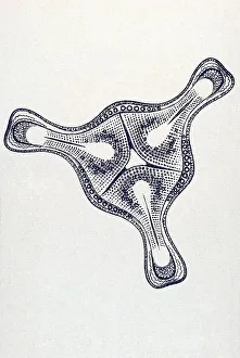 Historic illustration, tablet 4