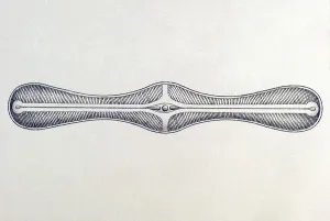 Historic illustration, tablet 4
