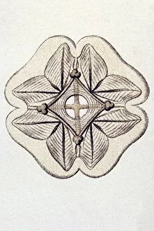 Historic illustration, tablet 6