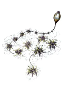 Historic illustration, tablet 7