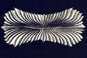 Historic illustration, tablet 9