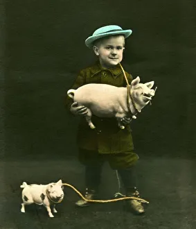 Historic photograph, boy with a pig, around 1912