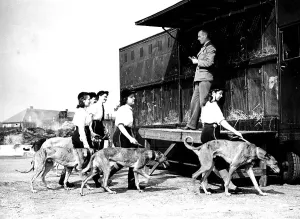 Historic photograph, dog training, around 1926