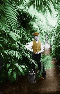 Historic photograph, gardener in a greenhouse