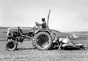 Historic photograph, potato harvest, around 1930