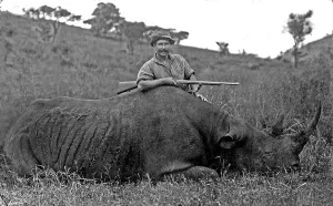 Historic picture, hunter posing behind a caught rhinocerus