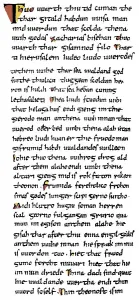 Historic print, manuscript, codex cottonianus