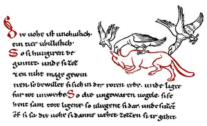 Historic print, Millstaett Manuscript