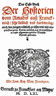 Historic print, woodcut of 1569
