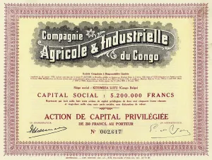 Historic stock certificate, colonial share certificate