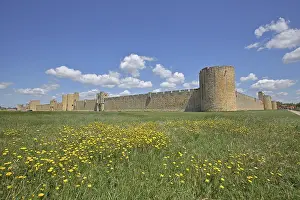 Historic town fortification with town gates