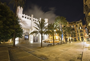 Historical building Llotja de Palma at night