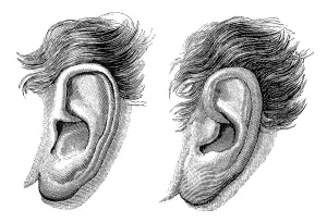 Historical drawing from the 19th Century