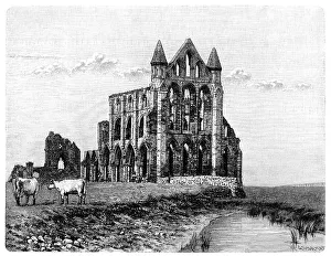 Historical drawing from the 19th Century