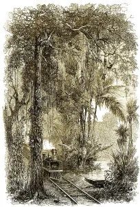 Historical drawing from the 19th century