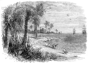 Historical drawing from the U.S