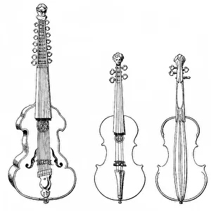 Historical drawing, various stringed instruments