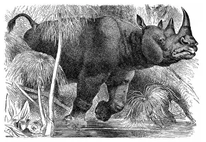 Historical graphic representation