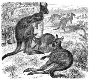Historical graphic representation