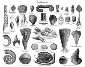 Historical graphic representation