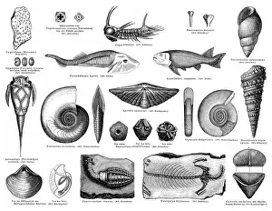 Historical graphic representation