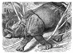 Historical graphic representation