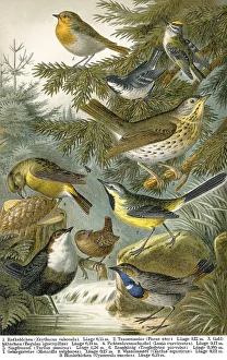 Historical illustration, 19th Century