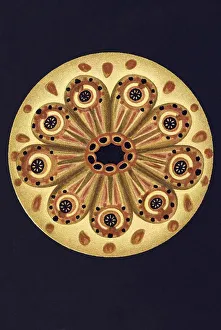 Historical illustration, Ascidiacea