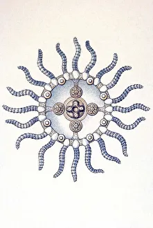 Historical illustration, Campanariae