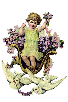 Historical illustration, child angel holding a bunch of violets