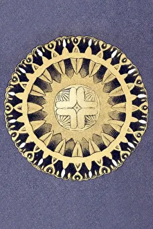 Historical illustration, Discomedusae