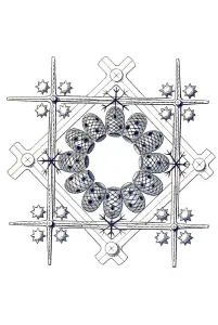 Historical illustration, Hexactinellid Sponge
