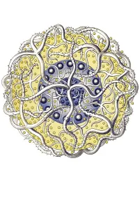 Historical illustration, Polycyttaria