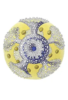 Historical illustration, Polycyttaria