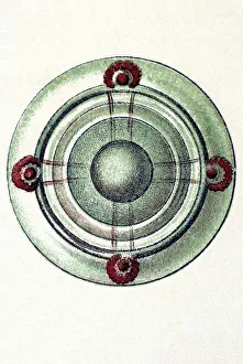 Historical illustration, Siphonophorae