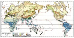 Historical map, map of distribution of plant groups on earth
