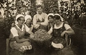 Historical photo, hop-picking, circa 1935