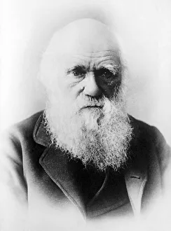 Historical picture of Charles Darwin at an older age