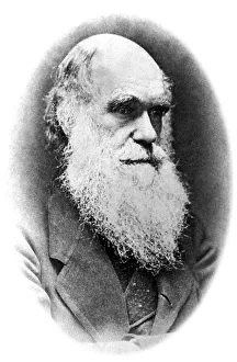 Historical picture of Charles Darwin at an older age