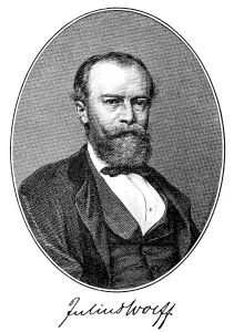 Historical print, portrait of Julius Wolff