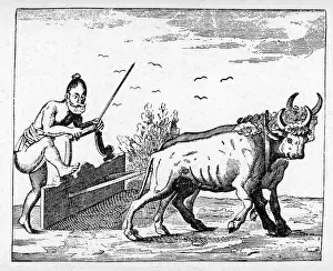 An Historical Relation of the Island Ceylon together With somewhat Concerning Severall Remarkable passages of my